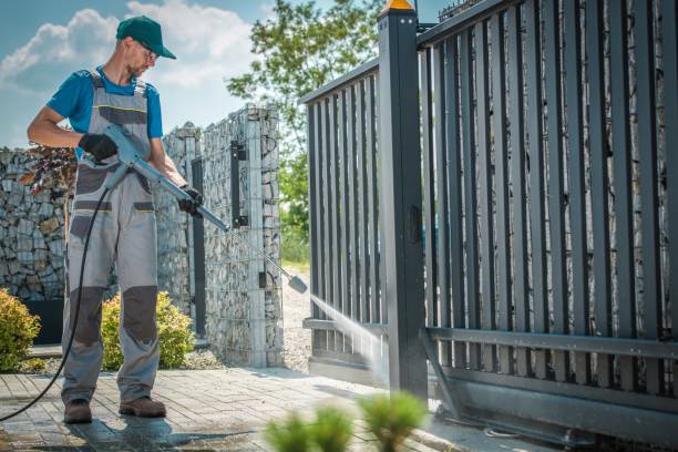 Best Sign and Awning Cleaning  in Carrizo Hill, TX