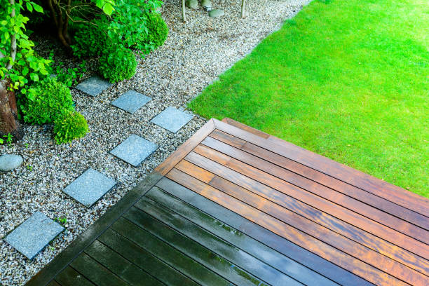 Best Fence Cleaning  in Carrizo Hill, TX