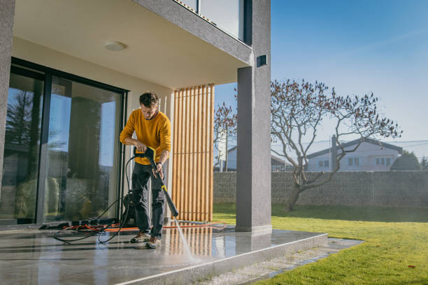 Best Pool Deck Cleaning  in Carrizo Hill, TX